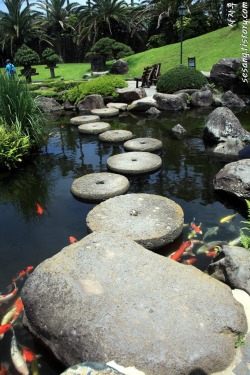 lovesouthkorea:  Botanical Garden in Jeju Island (source) 