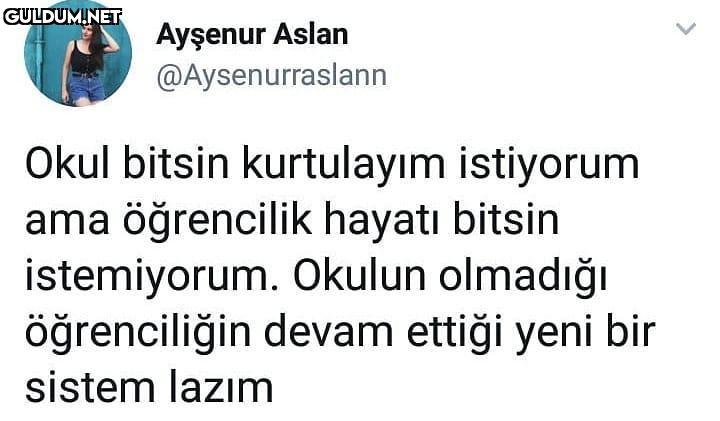 Ayşenur Aslan...