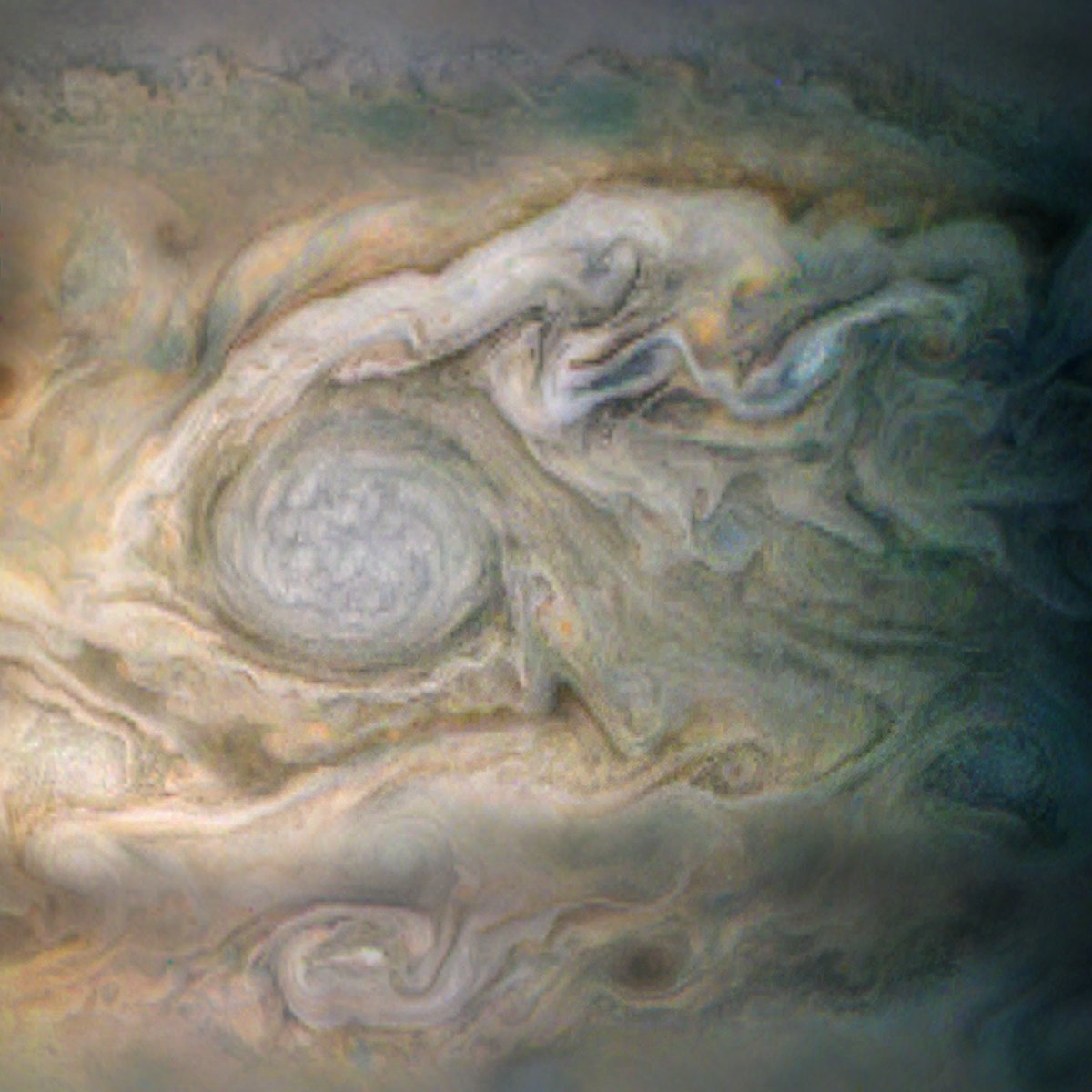 truetinytonywolf:  typhlonectes:   NASA’s Juno Probe Just Sent Back Breathtaking