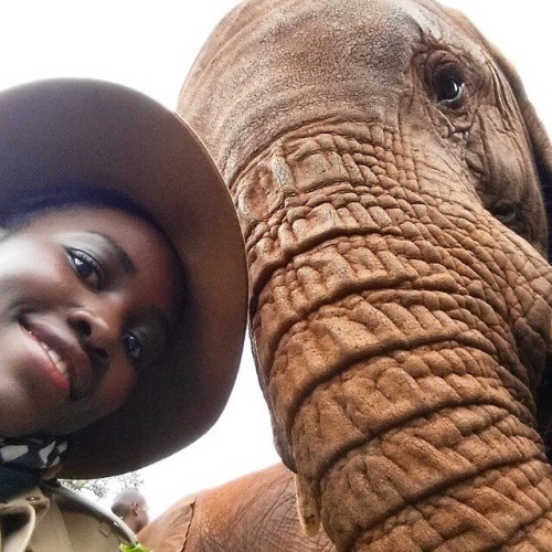 yungkawaiiinigga:Im convinced Lupita is so lovely that this elephant wanted to take a selfie with he