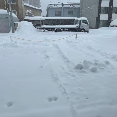 今朝綺麗にしたのに20センチ積もったこのまま降り続けたら自宅は50センチ以上積もってるんだろうな気温があまり低くないから重たいんだよねちょっと早めに帰るかな #japan #hokkaido #sap