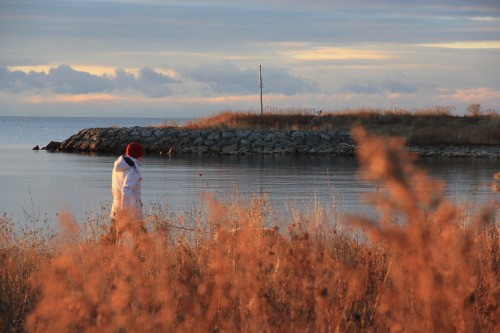 Dawn at Whimbrel Point