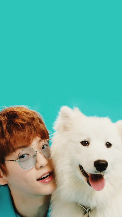 juluuna:TXT lockscreens ♥   ‘Cat & Dog’ Official MV✧ Please like or reblog if you save