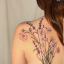lavenderxskin