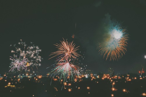 otariidaes:  4th of july | miami, florida 