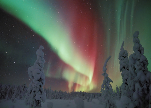 I want to go to there. Finnish Lapland Photo: Jorma Luhta