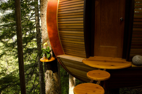 treehauslove:  The HemLoft Treehouse. A wooden egg-shaped structure built somewhere in the Whistler Woods, Canada. Built mostly from recycled materials the treehouse is a demonstration of an excellent craftsmanship and endless creativity.  