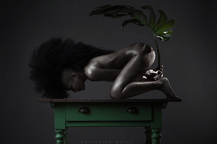 Christian Martin Weiss