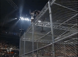 lrwwfattitudera:  Iconic moment: Mick Foley flies from the top of the ‘Hell in a Cell’ structure.