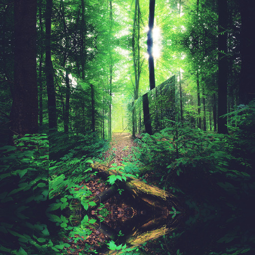 MIRRORED LANDSCAPES | Victoria Siemer