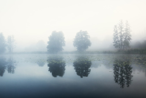 September mist by Josefine Karlsson