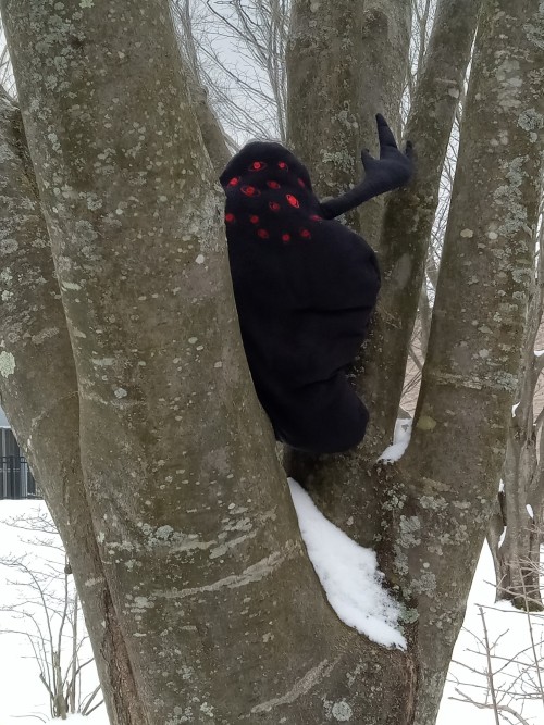 Dreamers, I Am Stuck In A Tree. I Do Not Know How To Get Down.