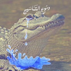 Crocodiles Tears -&gt; lying tears