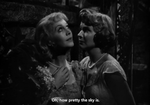 serendipity-in-love: A Streetcar Named Desire (1951 film)