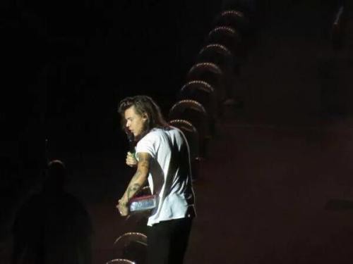 Harry on stage in Baltimore! (August 8 2015)