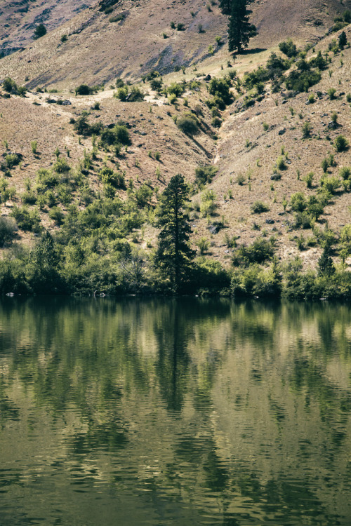 River Reflections