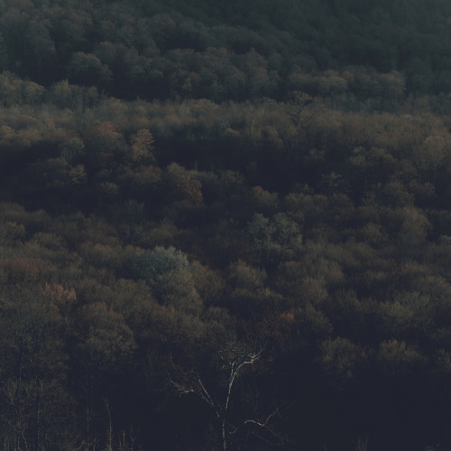 crossconnectmag: irakalan: MEHRAN NAGHSHBANDI Photography reblog