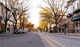 nicole-kidman:Do you feel that? That’s emotion.Silver Linings Playbook (2012) dir. David O. Russell