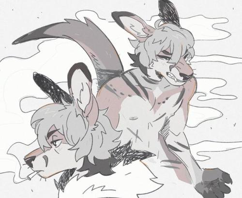 murkbone: some micajah