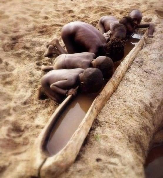 lapalomafolladora:  El ser humano no tiene dinero para abastecer de agua zonas áridas