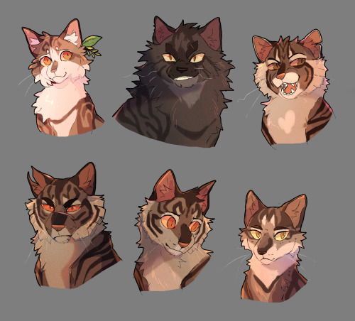  Apparently on a warrior cats roll, I wanted to see if I could put variation in character design by 