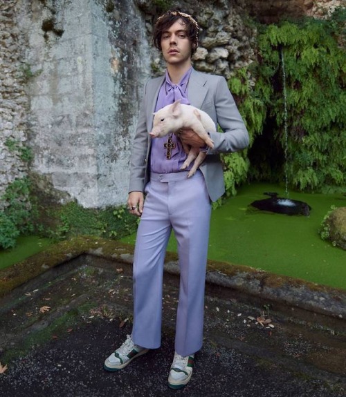 theyellowgrassgrows:Harry Styles for Gucci featuring baby pigs