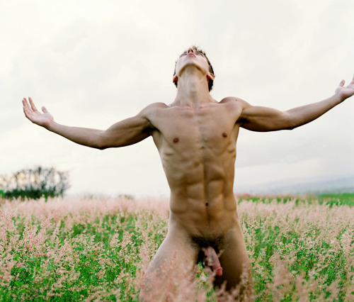 The Satyr's Glade