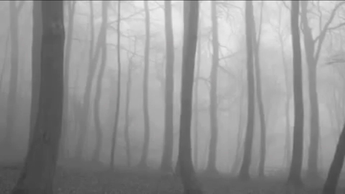 cosmiksol:  Slenderman sightings 