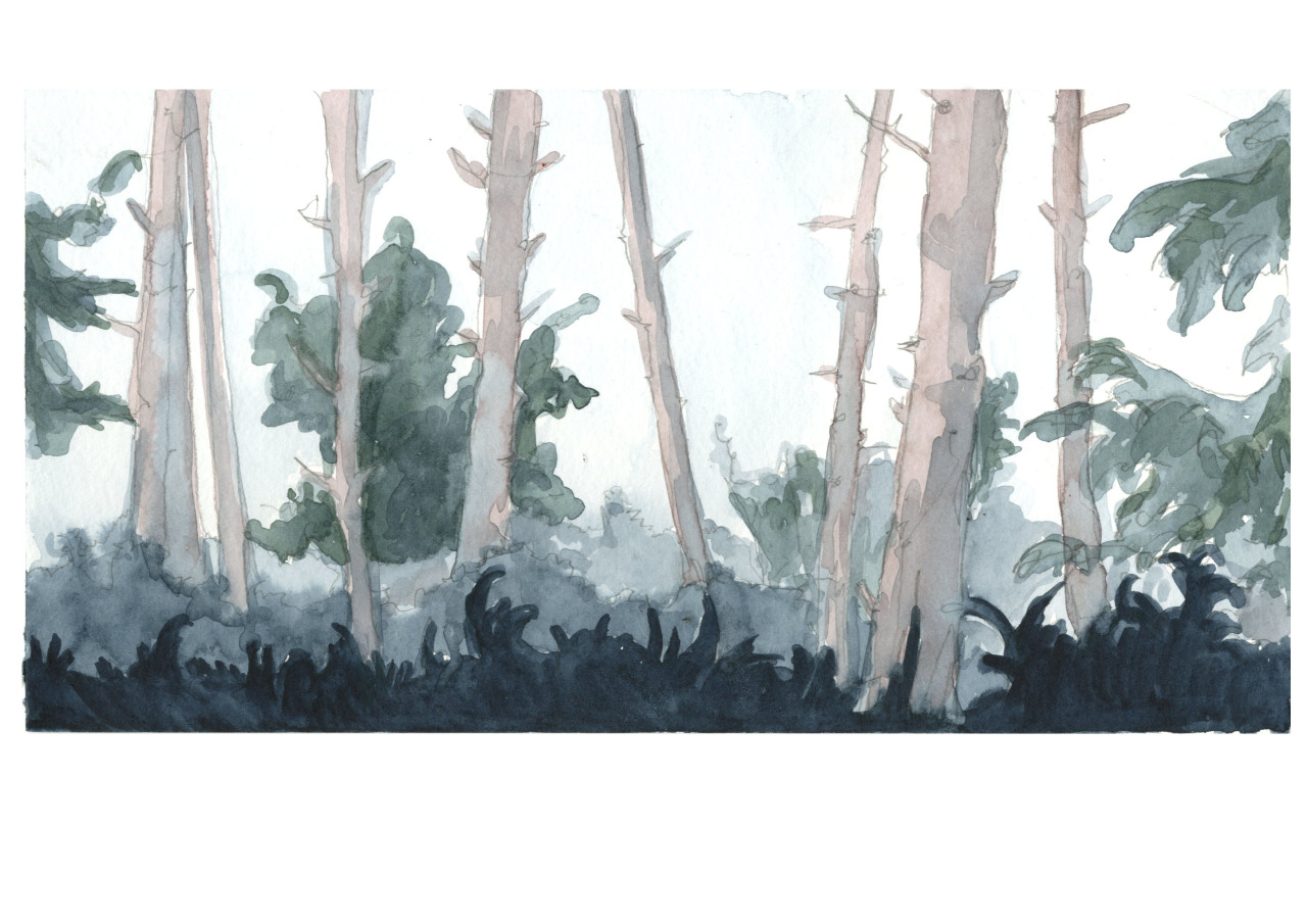 gracietapner:  Watercolour experiments.