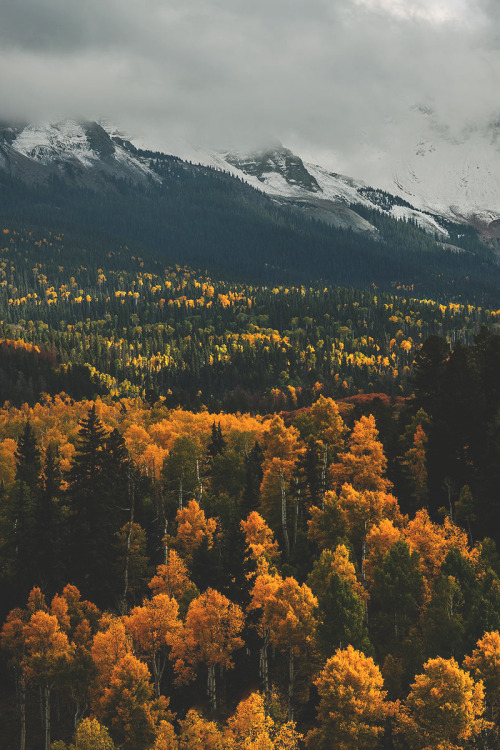 Porn photo wnderlst:  Mt. Sneffels, Colorado | Cinematic