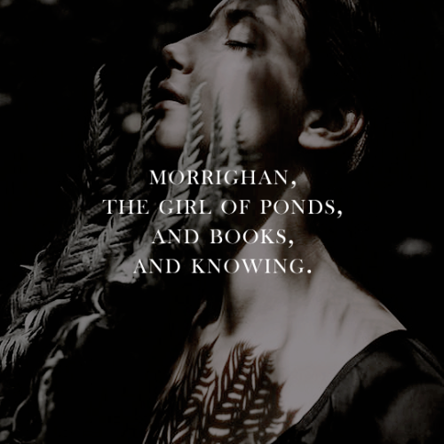 “Stories must begin somewhere, Jafir,” I said gently. “Maybe they can begin w