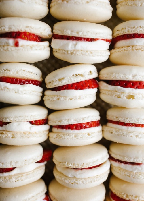 sweetoothgirl:all the macarons please  (recipes 1, 2, 3, 4, 5, 6, 7, 8, 9, 10) YesYesYesYesYesY