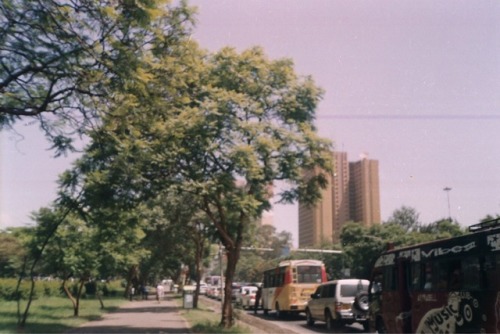 Favourites from a film rolled I just developed.