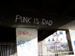 pilldad:  punk is never dad 