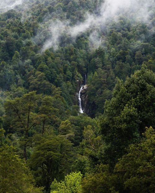 turnnoffyourmind:Immensityɞ Puelo, Los Lagos, Patagonia Chilena.