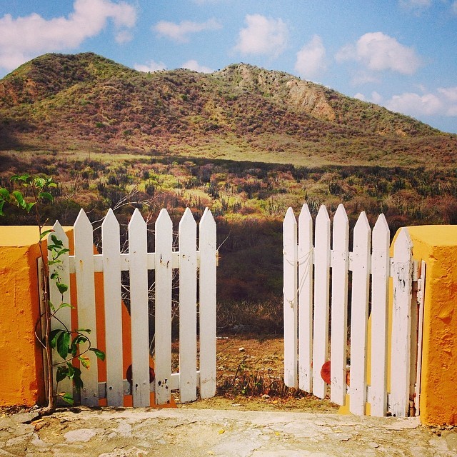 instagram:  Visiting the Vibrant, Colorful Cityscape Of Willemstad, Curaçao  For