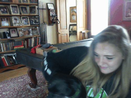 I like to call this little number Why Wont You Take a Picture with Me