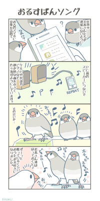 bunchobox:  歴代文鳥さんのなかでも一番の歌好きっこさんたちです。