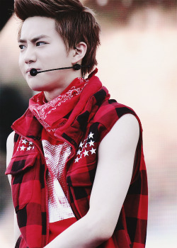 jonqdaes:  11/∞ photos of suho 