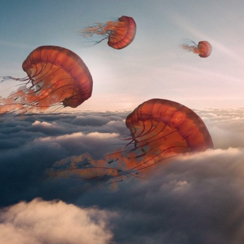hushaby:  Imaginative Photo Manipulations_7 – Fubiz™