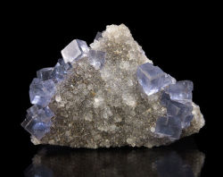 bijoux-et-mineraux:  Fluorite on Quartz -   La Viesca Mine, La Collada, Asturias, Spain  