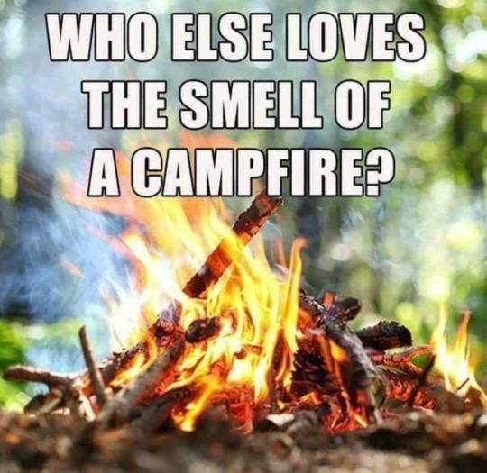 lshaffery:  baddixielandgirl: Absolutely…   Me