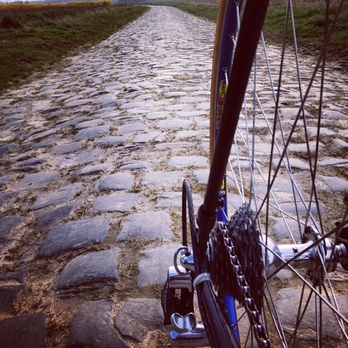 laicepssieinna:  #campagnolo #campa #record #pave #cobble by paris_roubaix1973 ift.tt/1gRhfJa