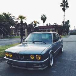 The Bimmer Blog