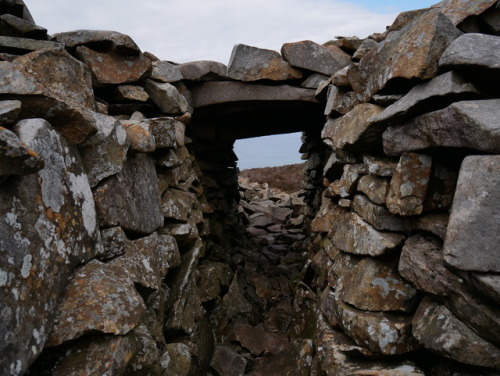 Tre’r Ceiri Iron Age Hill fort, Llyn Peninsula, North Wales, 29.4.17. This has to be one of the most