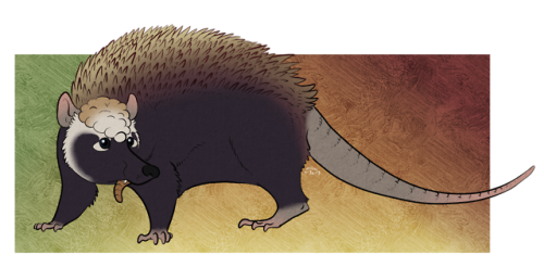 Mammal OverloadThe next set of Animals for @huxley-paleozoo; Leptictidium auderiense, Pholidocercus 