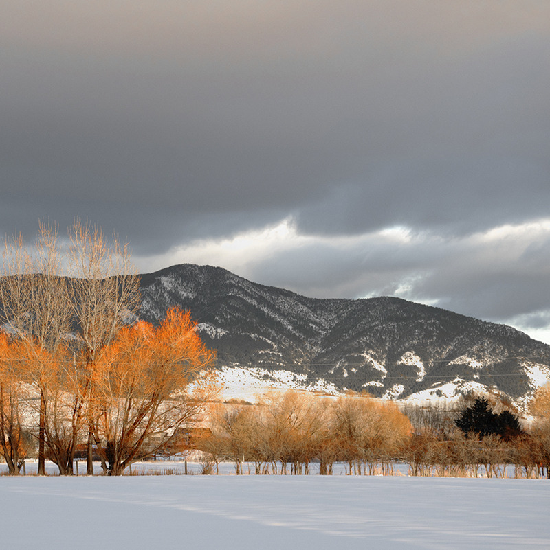 firstaeon: snow &amp; glow