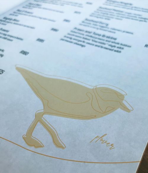 #ShorebirdSunday…Plover spotted on the menu at the @lookoutdeckplett! #plover #shorebirds #wa