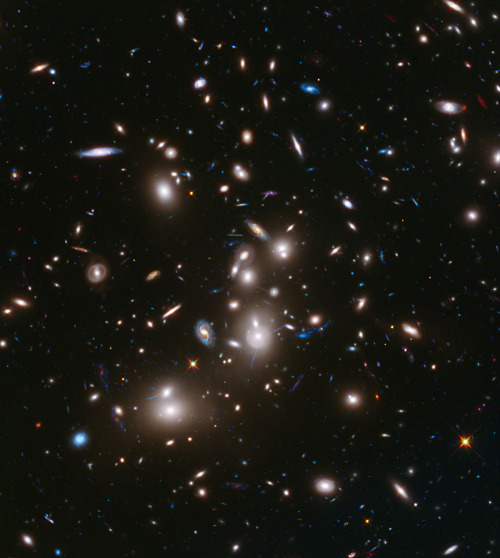 Last Legacy Hubble Birthday Pictures!