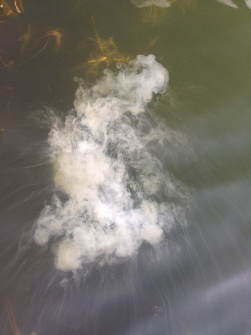 stalinsgirl:I dumped some boba tea in a lake and it made the weirdest cloud thing